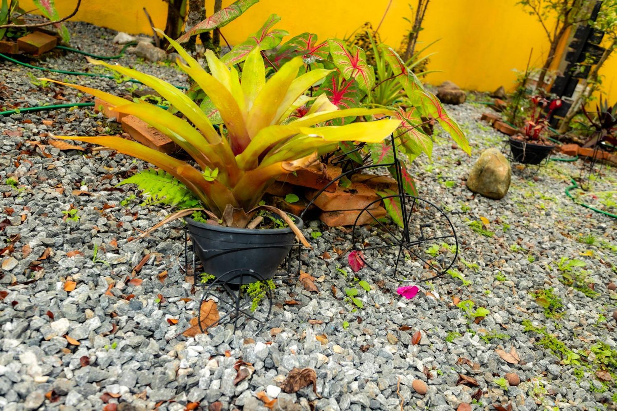 Casa Luna Peruibe, Piscina & Area Gourmet 度假居 Peruíbe